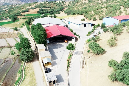 Minoo Zagros Food & Beverage Industries Co.