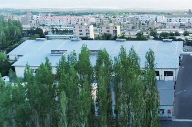شرکت شوکوپارس