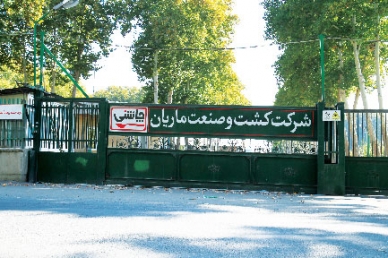 شرکت کشت و صنعت ماریان