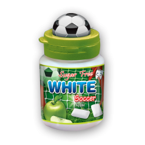 Sugar Free Chewing Gum