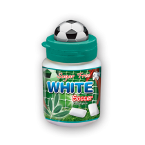Sugar Free Chewing Gum