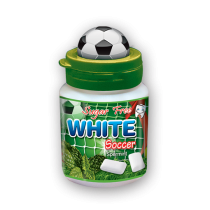Sugar Free Chewing Gum