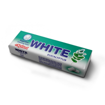 Sugar Free Chewing Gum