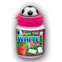 Sugar Free Chewing Gum