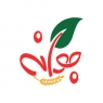جوانه